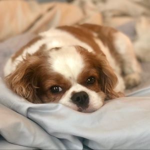 Meet your Posher, Mary kaye